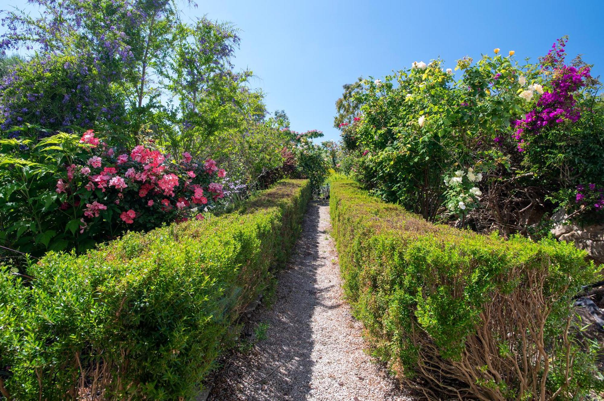 Sardinia Re - Villa Fioretta Flowers Apartments Olmedo Eksteriør bilde