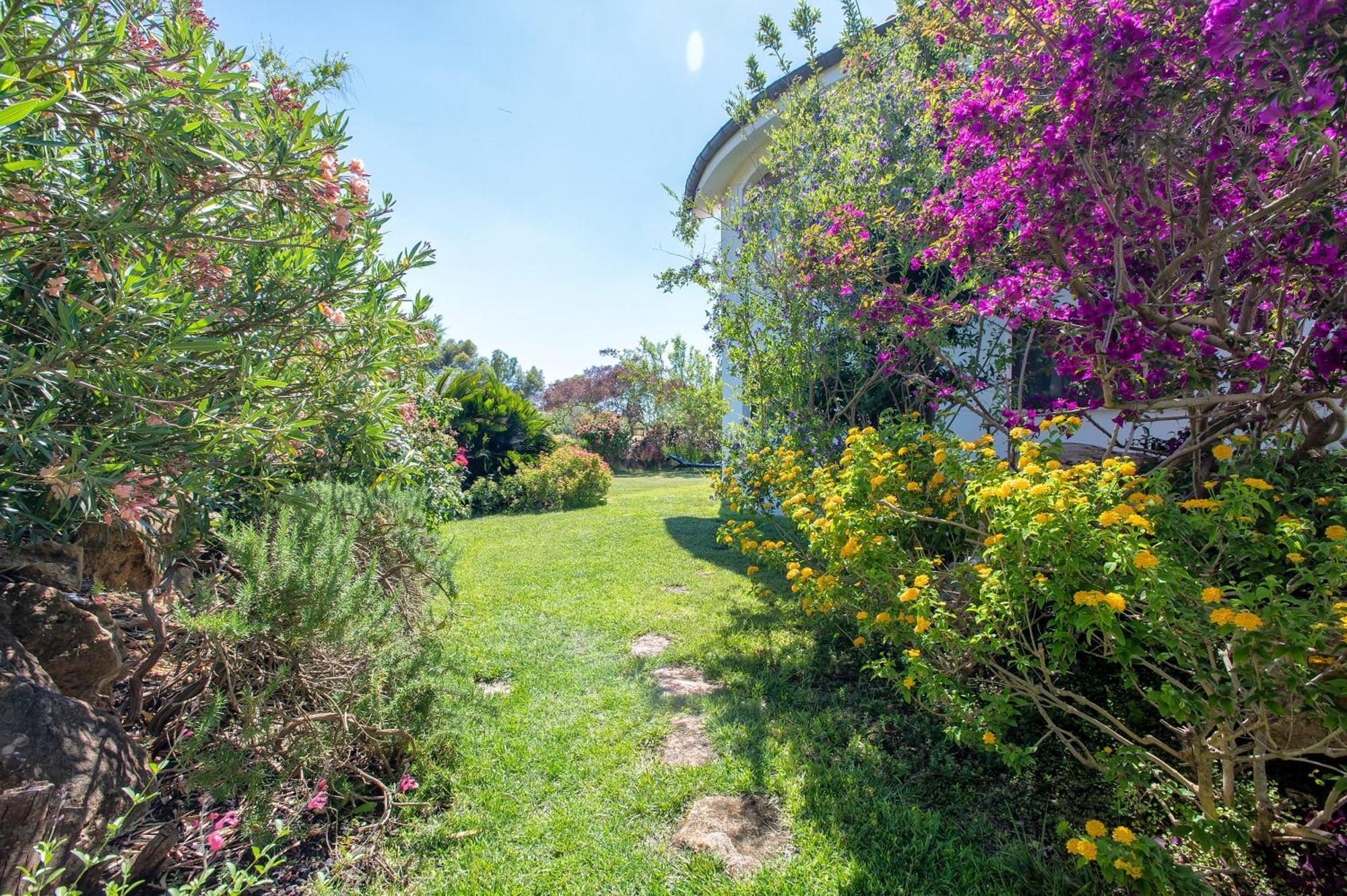 Sardinia Re - Villa Fioretta Flowers Apartments Olmedo Eksteriør bilde